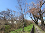 1035_kn27s200324.jpg