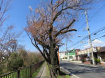 1038_452s200324.jpg