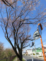 1041_451s200324.jpg