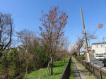 1044_kn26s200324.jpg
