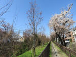 1047_kn24s200324.jpg