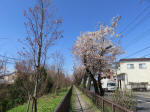 1050_447s200324.jpg