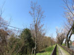 1053_kn23s200324.jpg