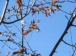 1054_kn23s200324.jpg