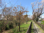 1062_kn22s200324.jpg