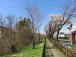 1068_kn19s200324.jpg