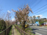 1101_429s200324.jpg