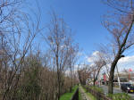 1107_kn9s200324.jpg