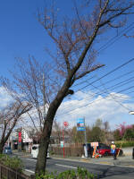 1110_425s200324.jpg