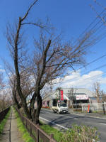 1116_421s200324.jpg