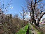 1120_kn5s200324.jpg