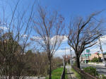 1138_kn1s200324.jpg