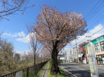 1141_411s200324.jpg