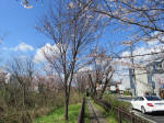 1146_n34s200324.jpg