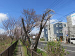 1149_405s200324.jpg