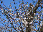 1150_405s200324.jpg