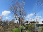 1158_n14s200324.jpg