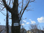 1166_n12s200324.jpg