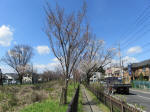 1167_n11s200324.jpg