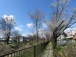 1170_n10s200324.jpg