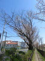 1176_391s200324.jpg