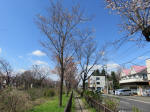 1179_n8s200324.jpg