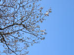 1186_n2s200324.jpg