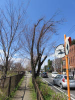 1188_378s200324.jpg