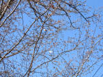 1189_378s200324.jpg