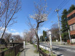 1194_377s200324.jpg