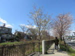 1197_kn30s200324.jpg