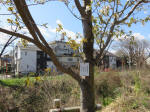 1199_kn30s200324.jpg
