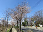 1200_375s200324.jpg