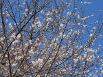 1201_375s200324.jpg