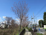 1213_n56s200324.jpg