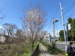 1216_n55s200324.jpg