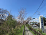 1219_n54s200324.jpg