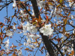 IMG_1220_n54s200324.jpg