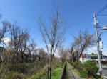 1222_n53s200324.jpg