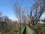 1225_n52s200324.jpg