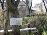 1227_n52s200324.jpg