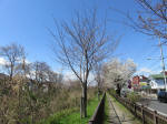 1231_n51s200324.jpg