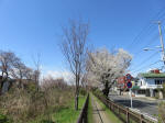 1234_n50s200324.jpg