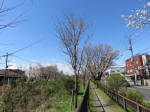 1241_n48s200324.jpg