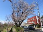 1244_361s200324.jpg