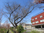 1247_360s200324.jpg