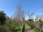 1250_n44s200324.jpg