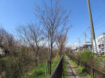 1253_n43s200324.jpg