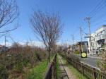 1256_n42s200324.jpg