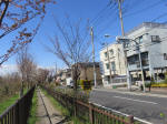 1262_354s200324.jpg